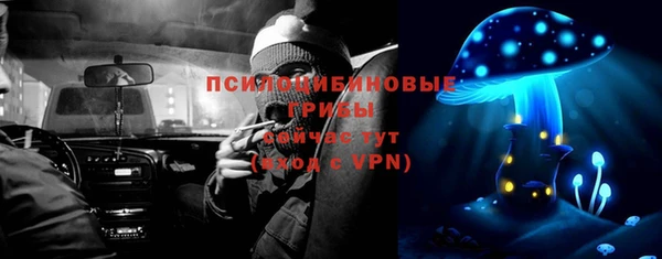 твердый Корсаков