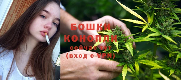 ПСИЛОЦИБИНОВЫЕ ГРИБЫ Козельск