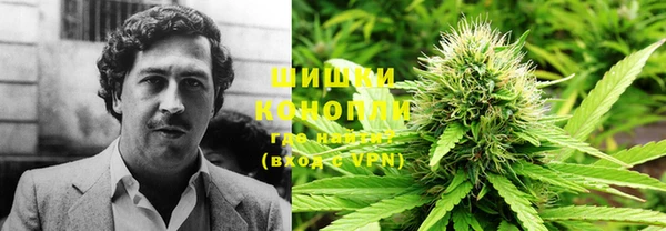 ПСИЛОЦИБИНОВЫЕ ГРИБЫ Козельск