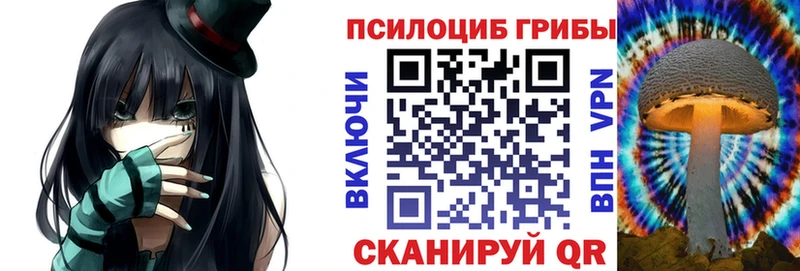 купить наркоту Ессентуки ОМГ ОМГ ссылки Псилоцибиновые грибы Cubensis