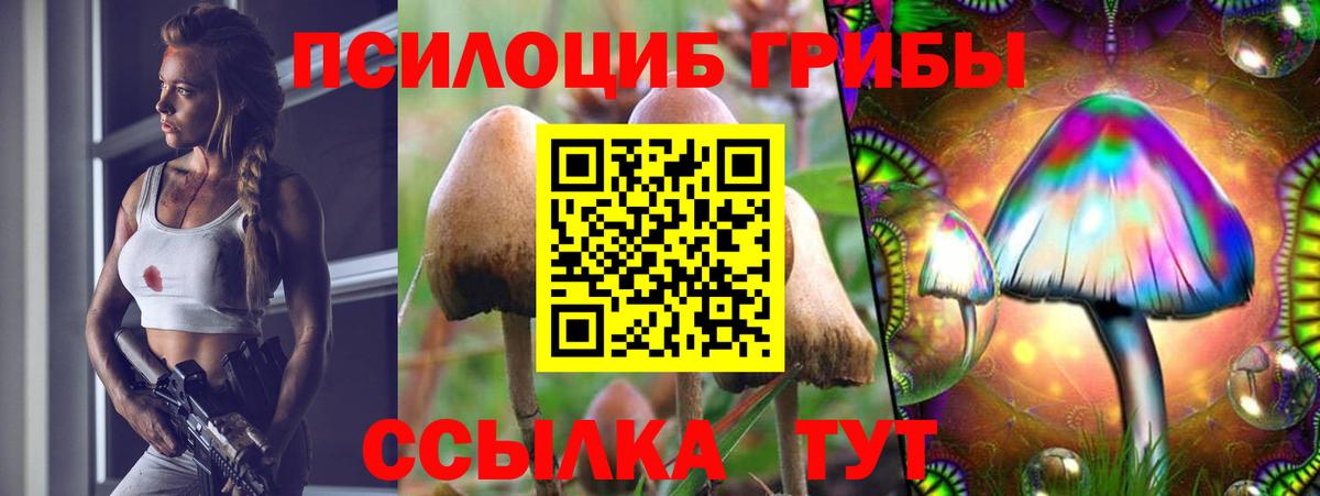 Галлюциногенные грибы прущие грибы  Вход с VPN  Ессентуки 