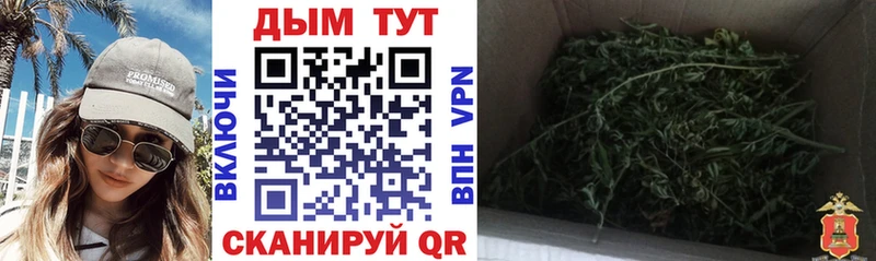 Каннабис SATIVA & INDICA Ессентуки
